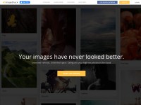 //image.thum.io/get/allowJPG/width/200/crop/900/http://imageshack.us