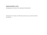 //image.thum.io/get/allowJPG/width/200/crop/900/http://pexels.com